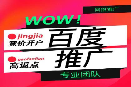 百度广告推广案例：品牌增长之道